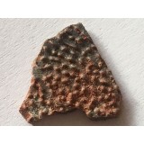 Skořápka z vejce dinosaura
